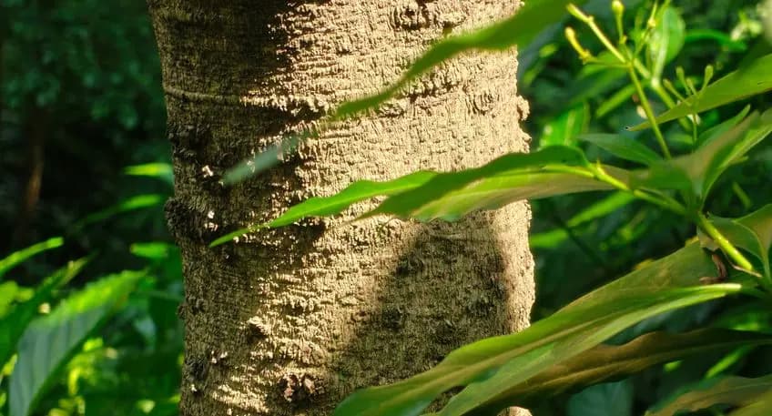 Macro detail — shot on OnePlus 15